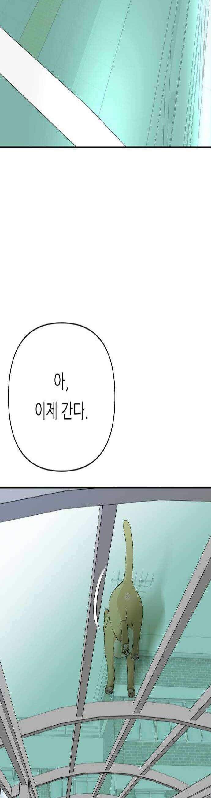 남4친 36화 2