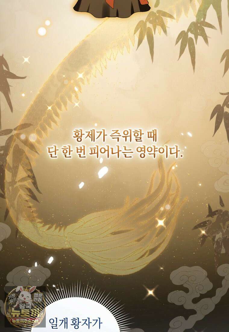 백호 가문의 아기 솜뭉치 8화 7