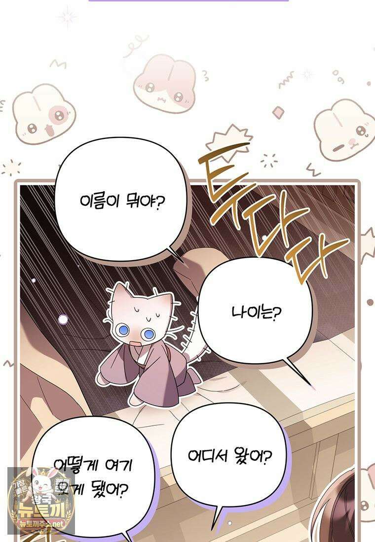 멍문세가를 호령하는 아기 고양이입니다 5화 5