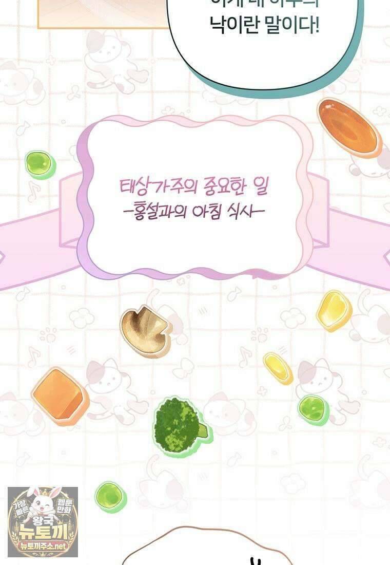 멍문세가를 호령하는 아기 고양이입니다 9화 11