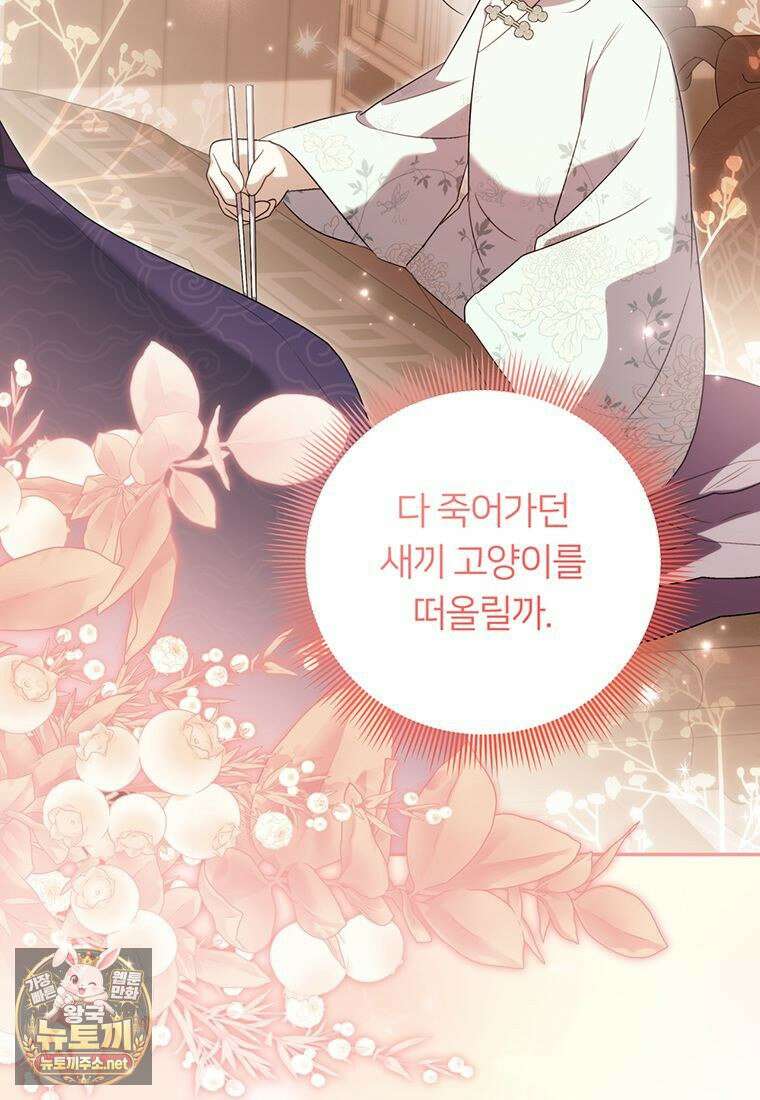 멍문세가를 호령하는 아기 고양이입니다 9화 14