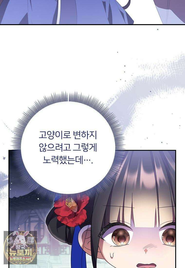 멍문세가를 호령하는 아기 고양이입니다 14화 3