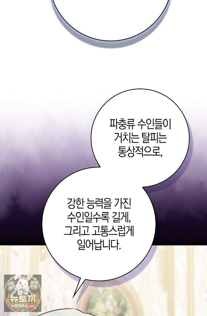 토끼라뇨, 누가 봐도 맹수인데 52화 10