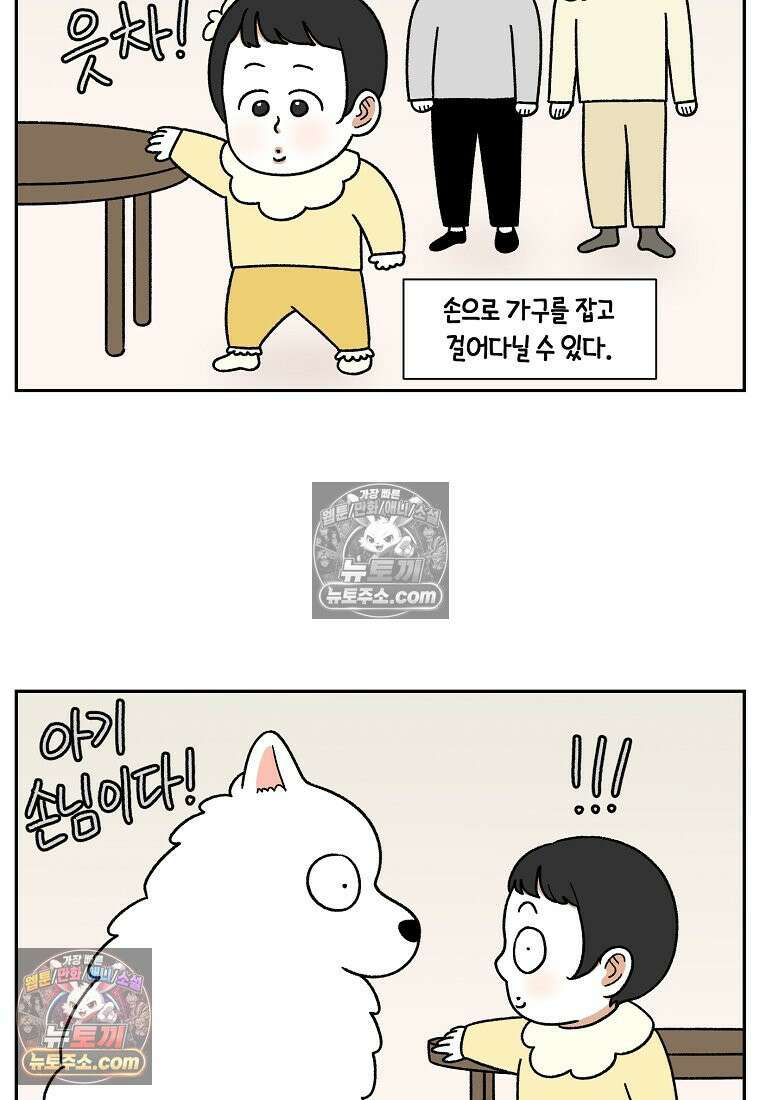 극한견주 시즌2 38화 개와 아기의 공통점(1) 3