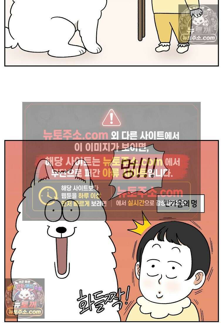 극한견주 시즌2 38화 개와 아기의 공통점(1) 4