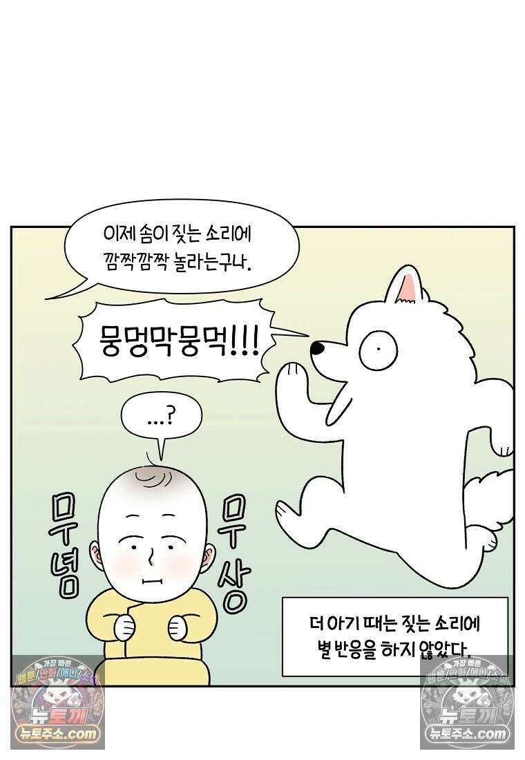 극한견주 시즌2 38화 개와 아기의 공통점(1) 5