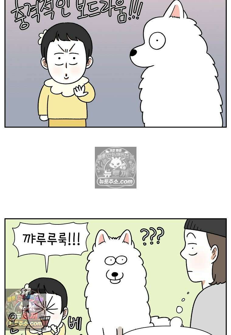 극한견주 시즌2 38화 개와 아기의 공통점(1) 10