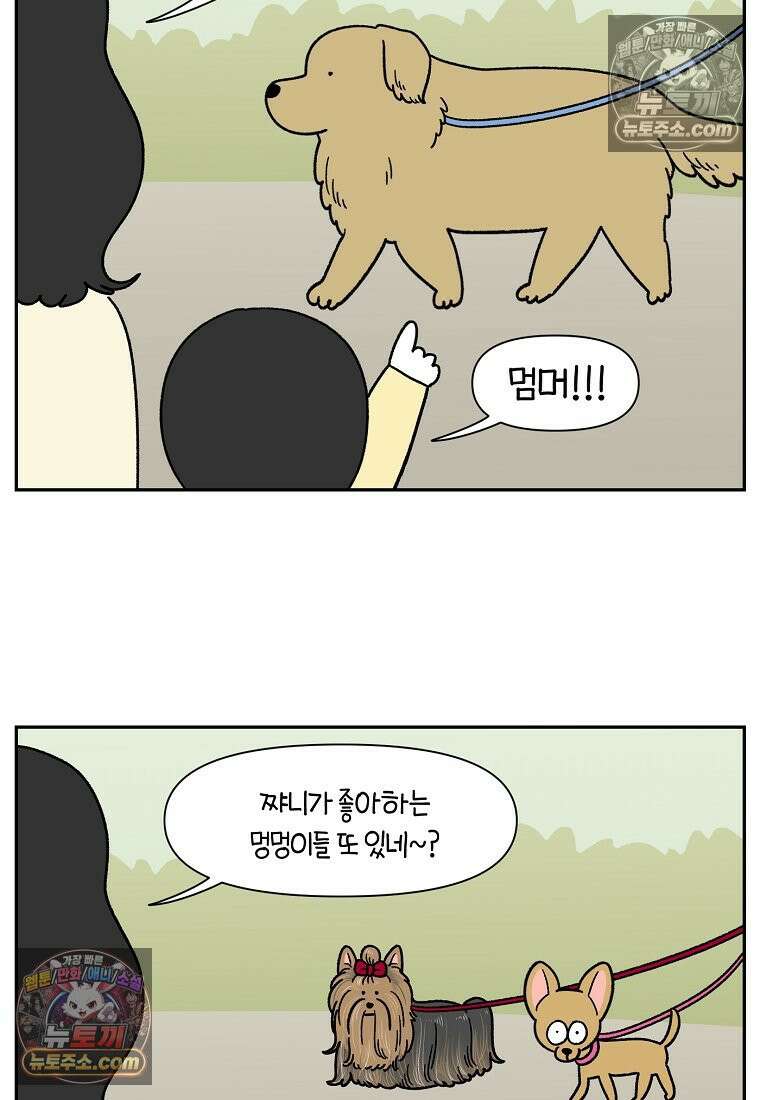 극한견주 시즌2 38화 개와 아기의 공통점(1) 13