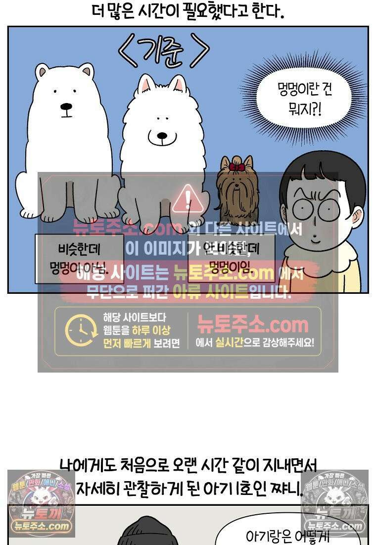 극한견주 시즌2 38화 개와 아기의 공통점(1) 17