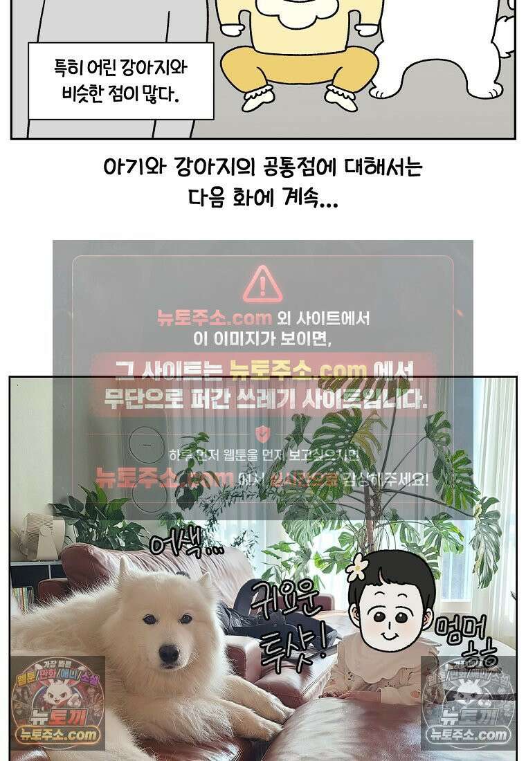 극한견주 시즌2 38화 개와 아기의 공통점(1) 22