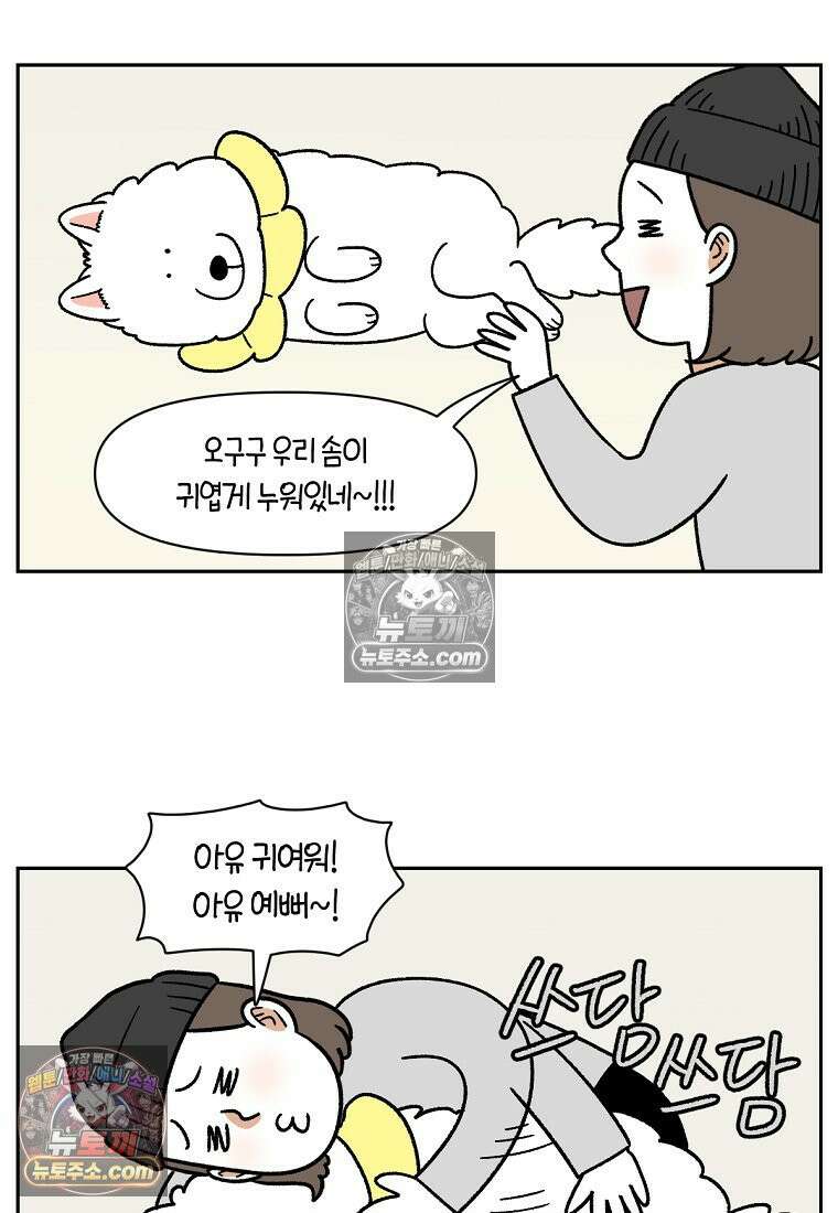 극한견주 시즌2 43화 눈병 치료(2) 5