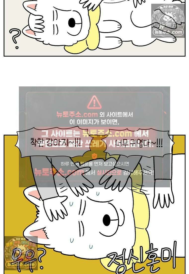극한견주 시즌2 43화 눈병 치료(2) 6
