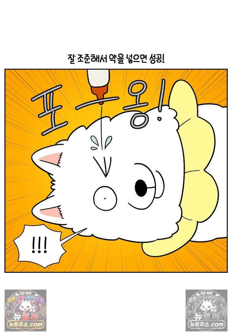 극한견주 시즌2 43화 눈병 치료(2) 8
