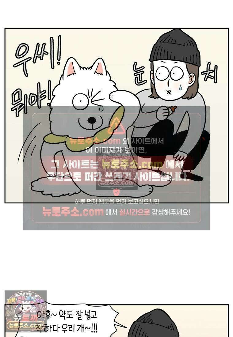 극한견주 시즌2 43화 눈병 치료(2) 9