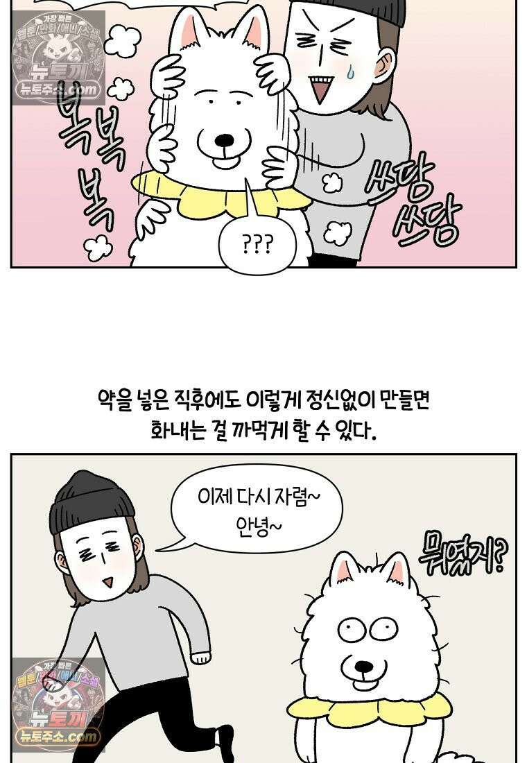 극한견주 시즌2 43화 눈병 치료(2) 10
