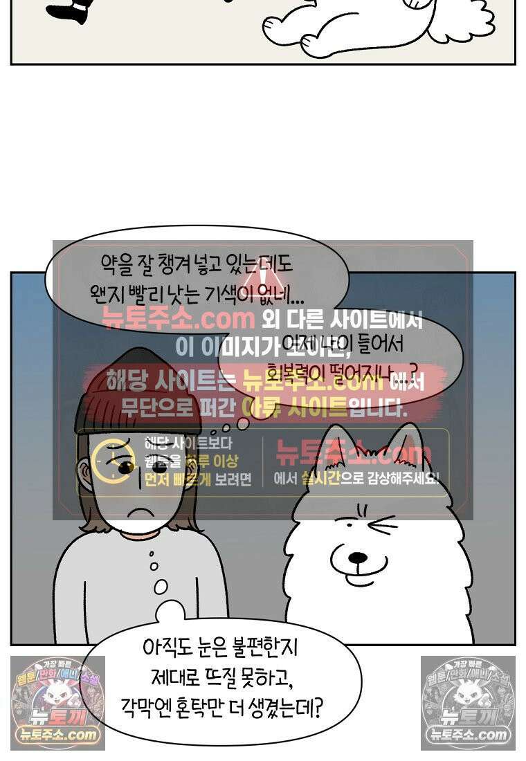 극한견주 시즌2 43화 눈병 치료(2) 11