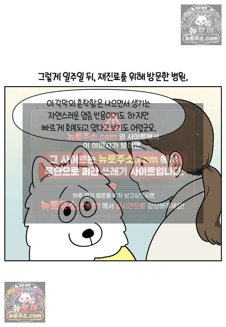 극한견주 시즌2 43화 눈병 치료(2) 12