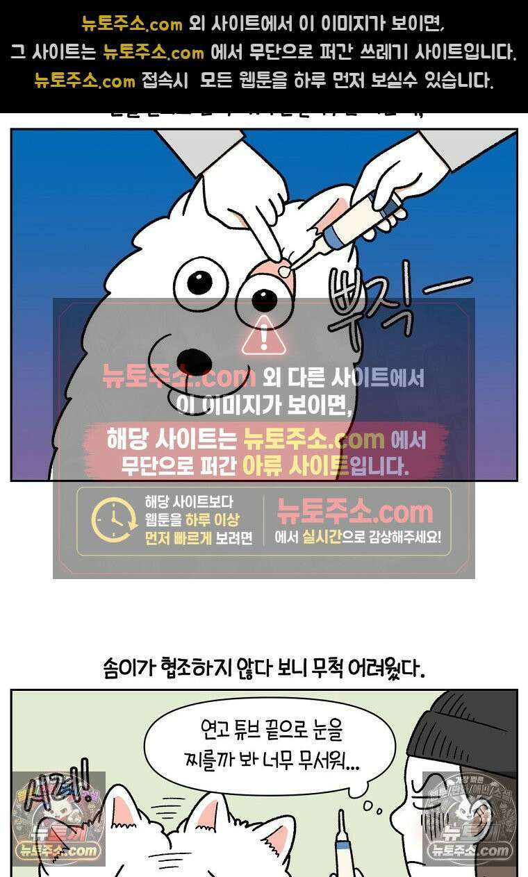 극한견주 시즌2 43화 눈병 치료(2) 14