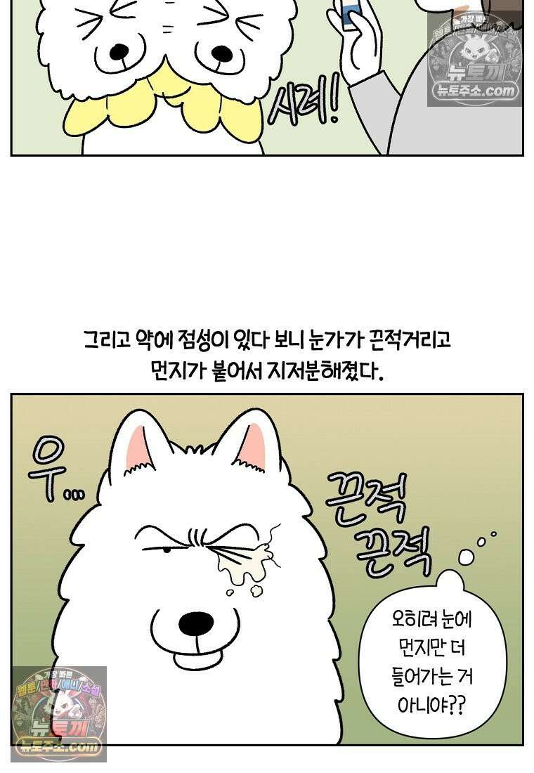 극한견주 시즌2 43화 눈병 치료(2) 15
