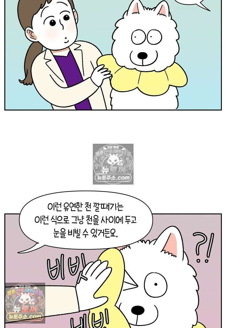 극한견주 시즌2 43화 눈병 치료(2) 18