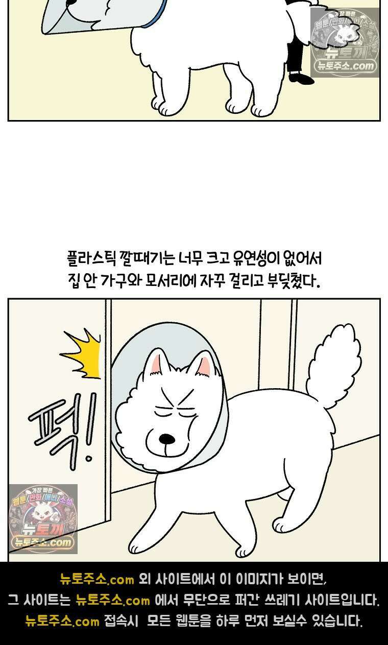 극한견주 시즌2 43화 눈병 치료(2) 23