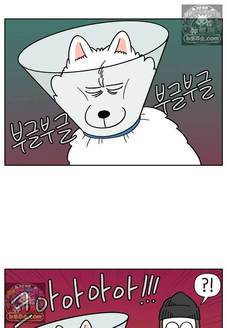 극한견주 시즌2 43화 눈병 치료(2) 25