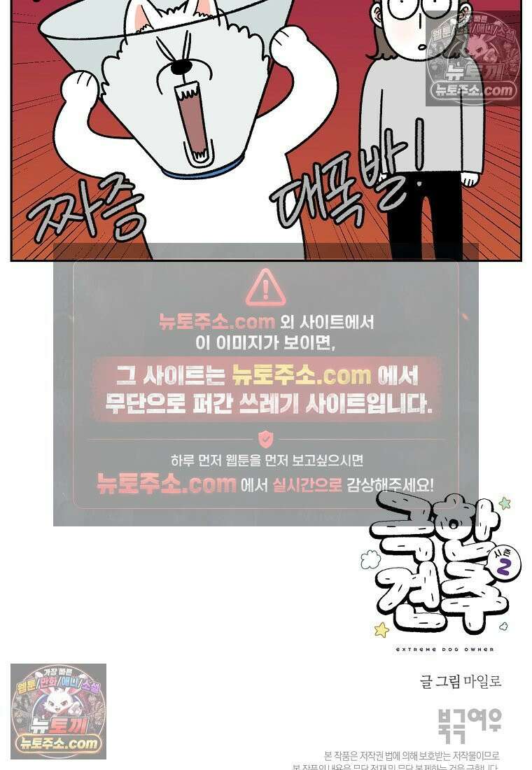 극한견주 시즌2 43화 눈병 치료(2) 26