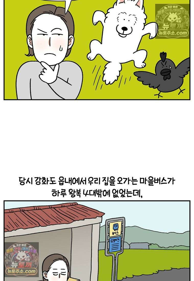 극한견주 시즌2 66화 첫차 3