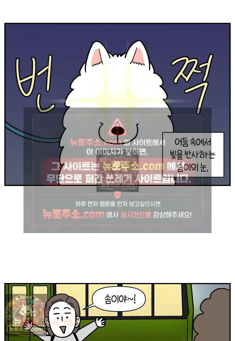 극한견주 시즌2 66화 첫차 7