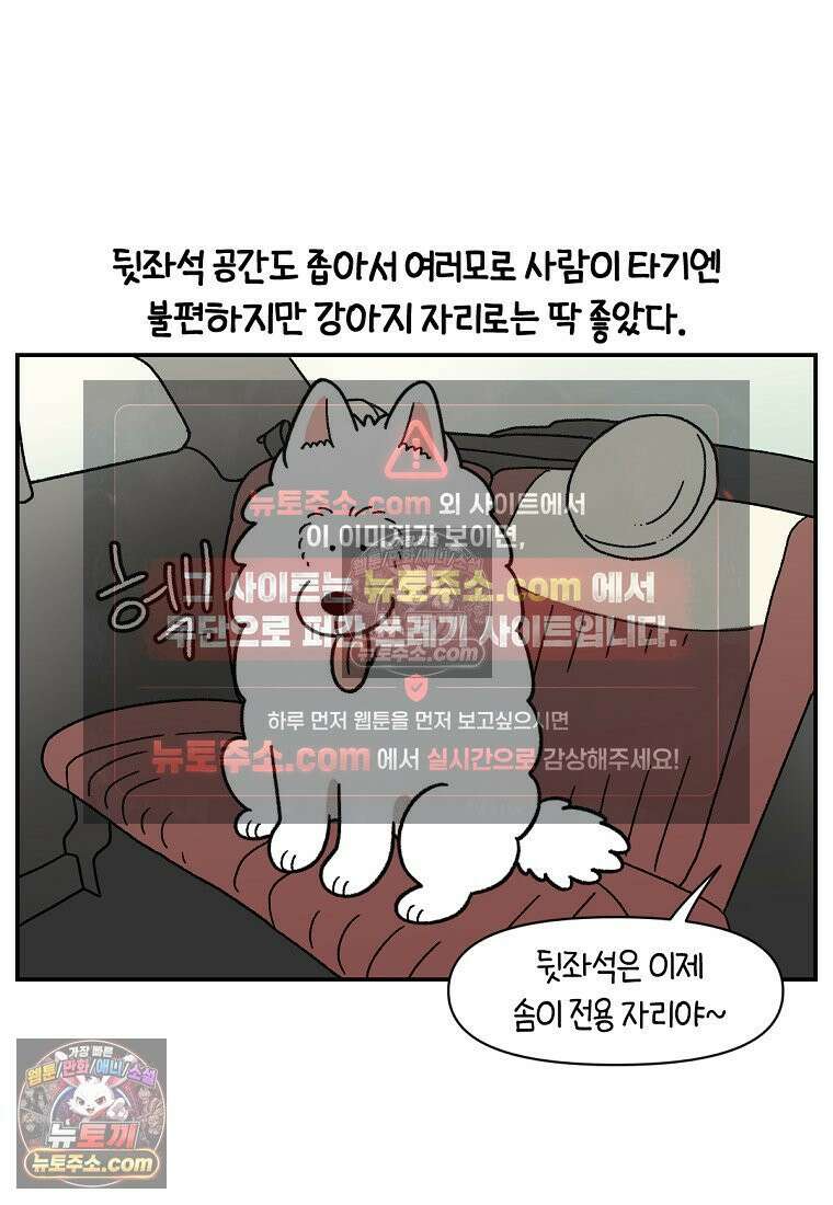 극한견주 시즌2 66화 첫차 14