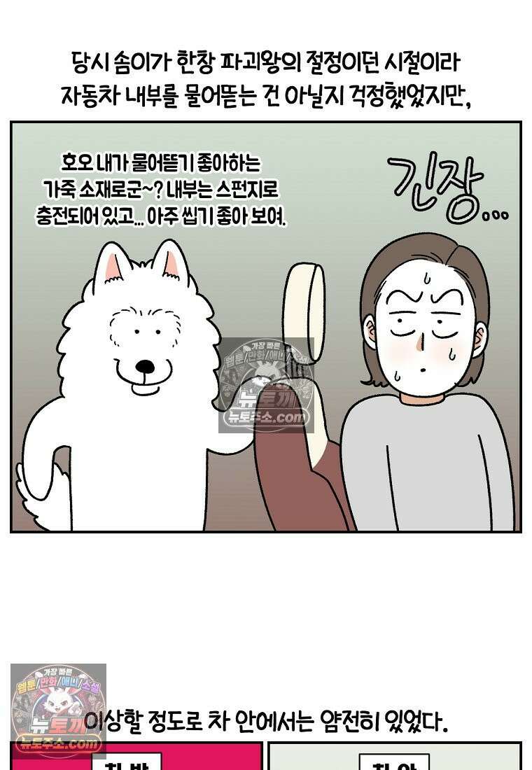 극한견주 시즌2 66화 첫차 15