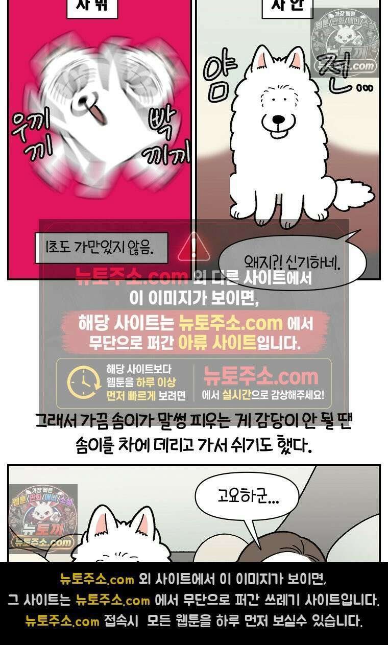 극한견주 시즌2 66화 첫차 16