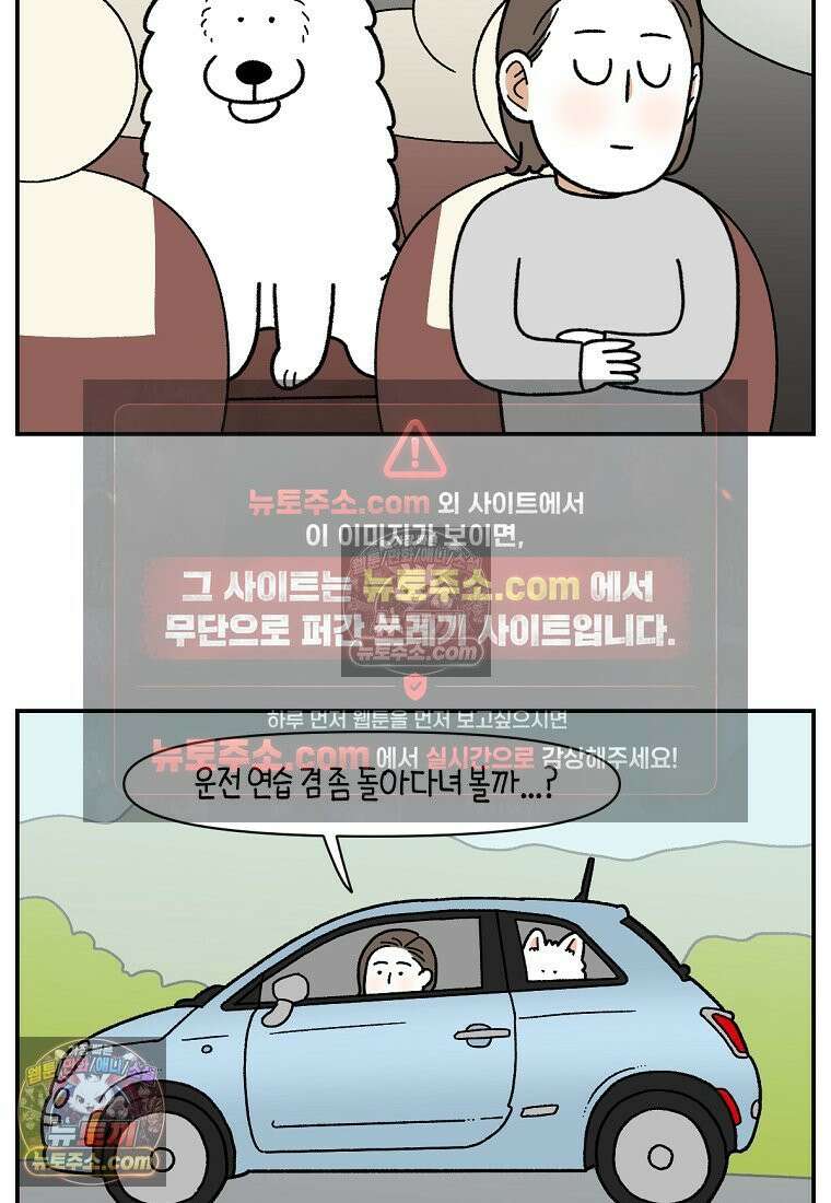 극한견주 시즌2 66화 첫차 17