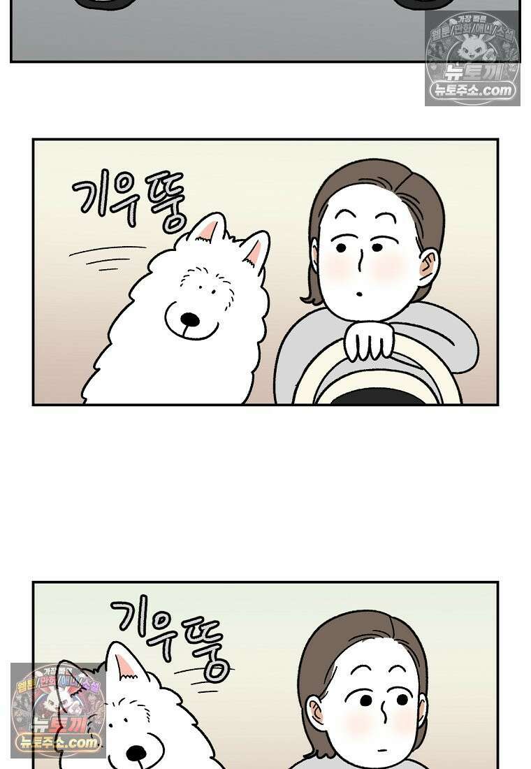극한견주 시즌2 66화 첫차 18