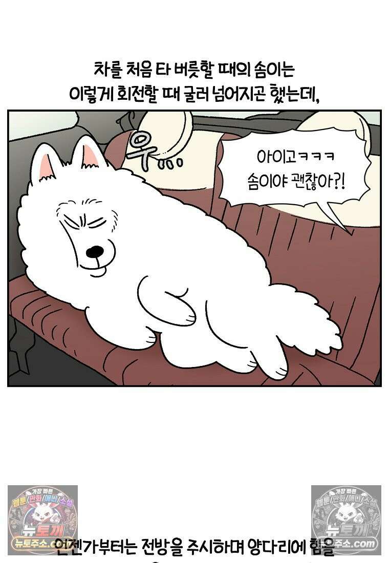 극한견주 시즌2 66화 첫차 20