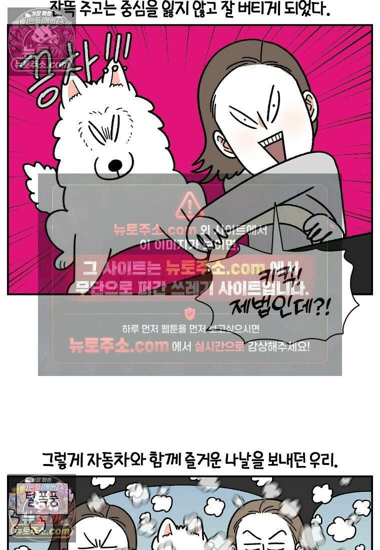 극한견주 시즌2 66화 첫차 21
