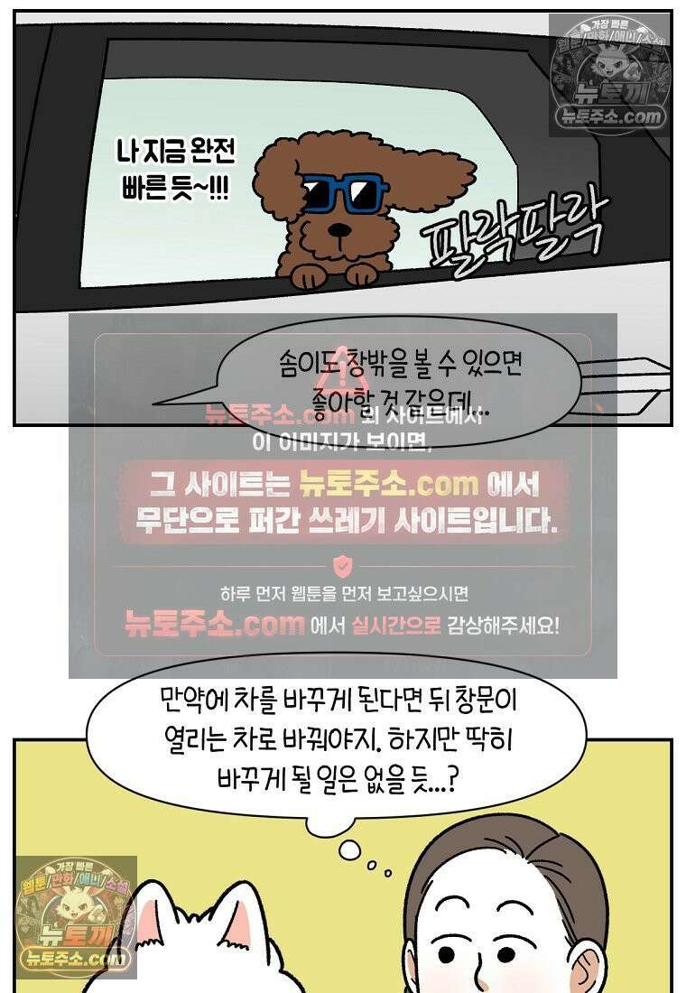 극한견주 시즌2 66화 첫차 24