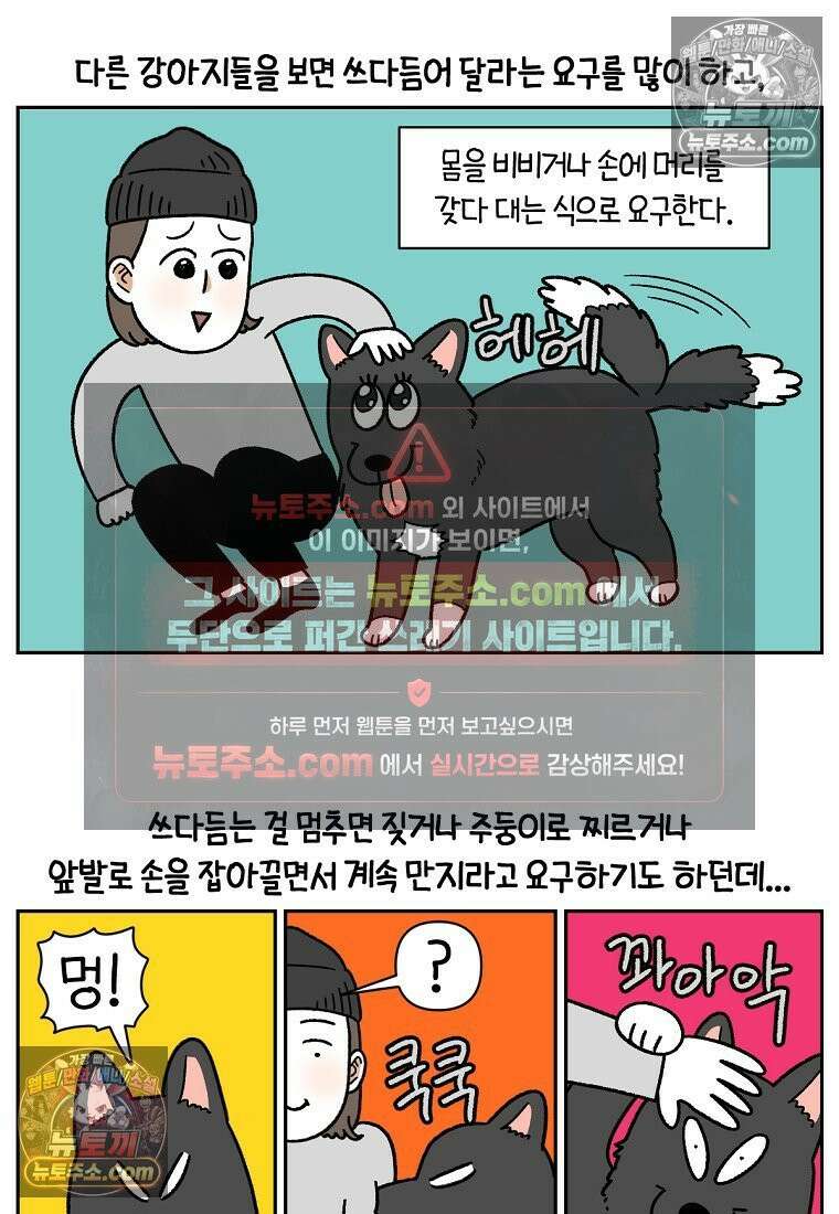 극한견주 시즌2 82화 만져타임 2