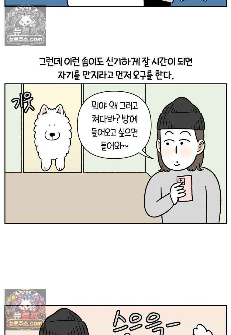극한견주 시즌2 82화 만져타임 10