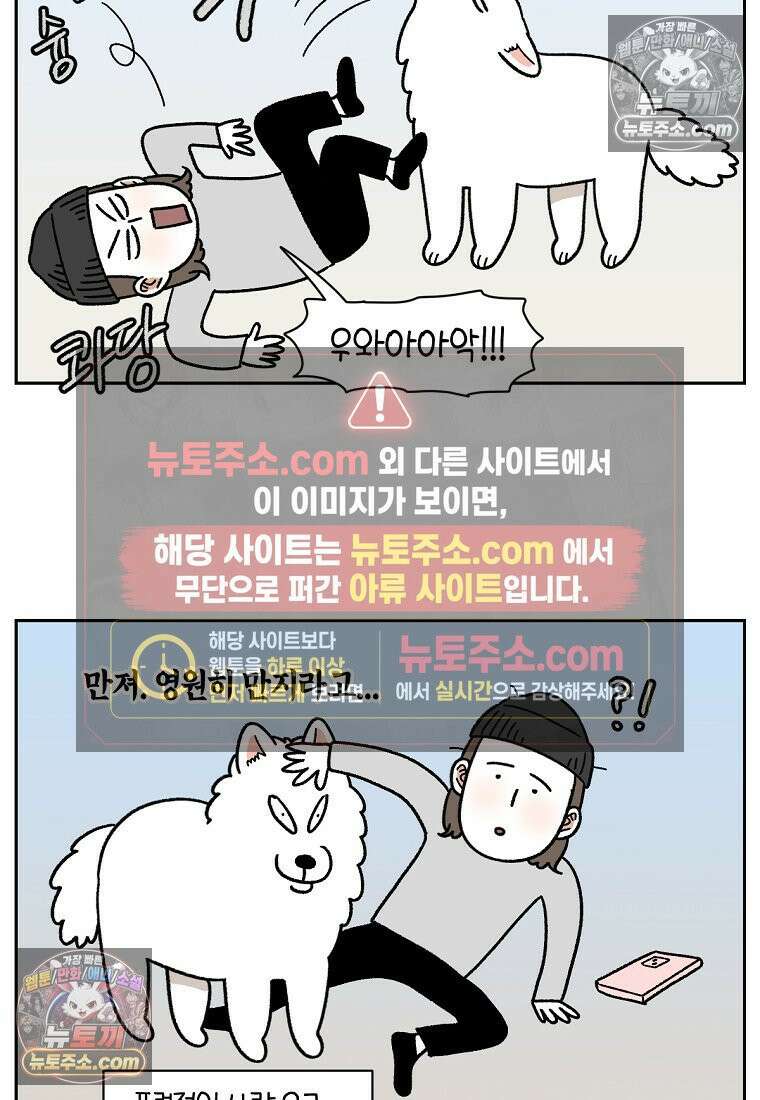 극한견주 시즌2 82화 만져타임 21