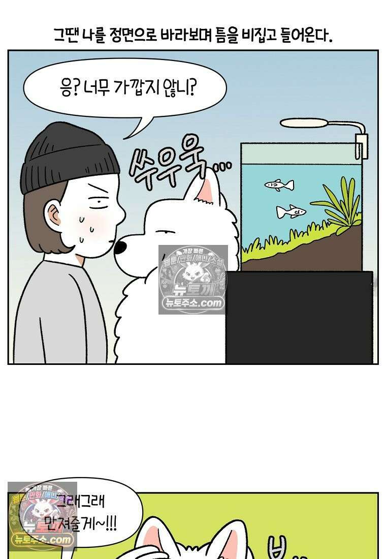 극한견주 시즌2 82화 만져타임 23