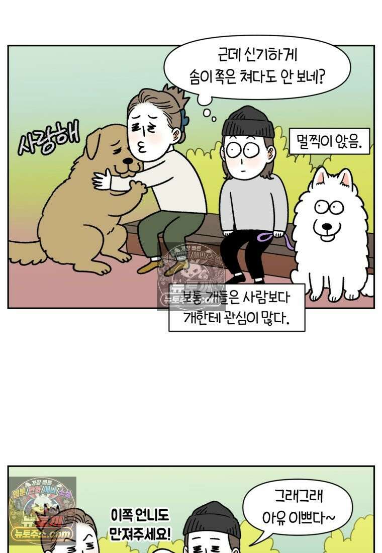 극한견주 시즌2 87화 개의 질투 5