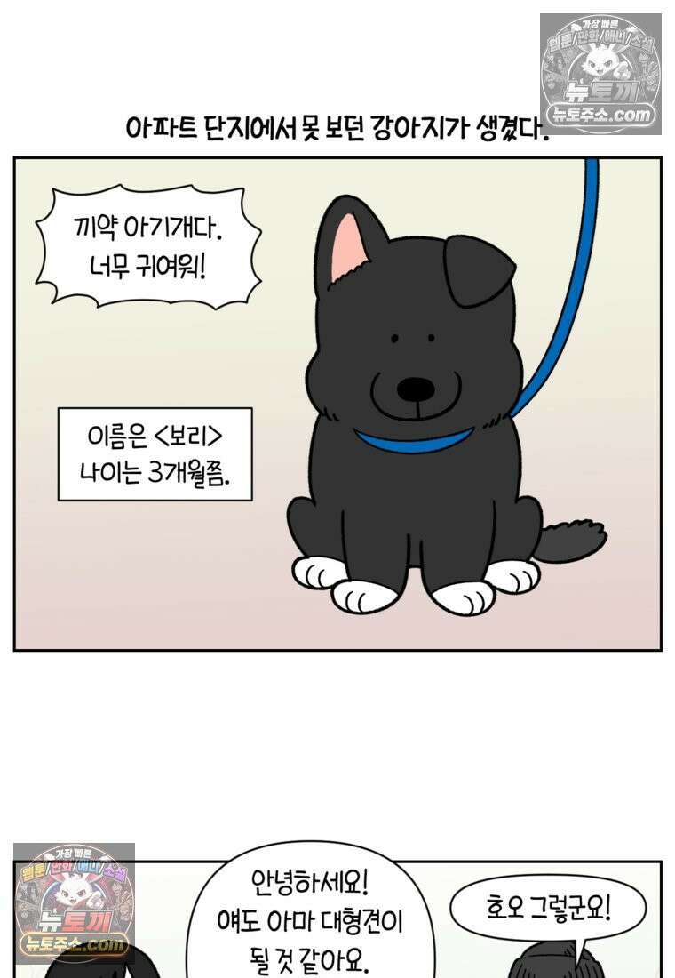 극한견주 시즌2 87화 개의 질투 13