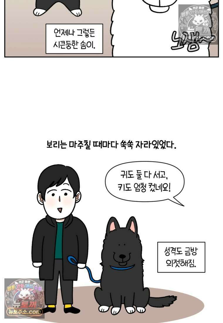 극한견주 시즌2 87화 개의 질투 15