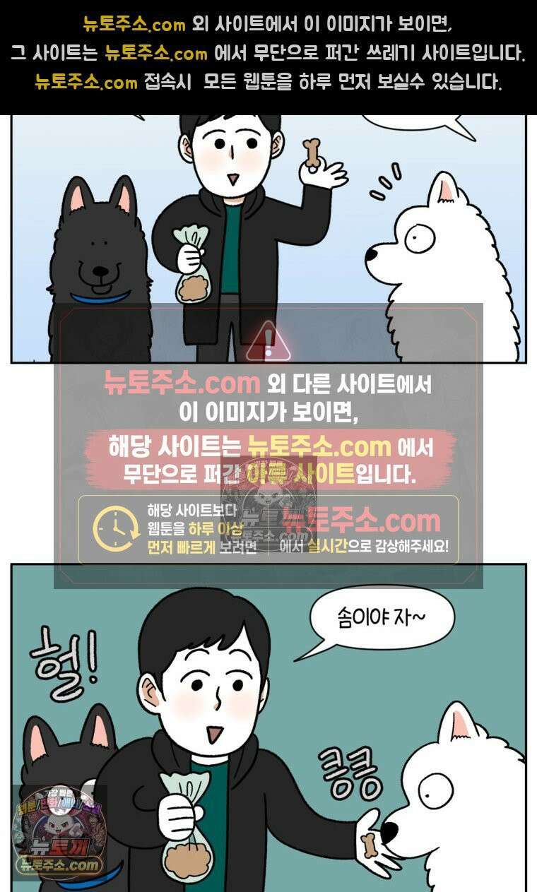 극한견주 시즌2 87화 개의 질투 19