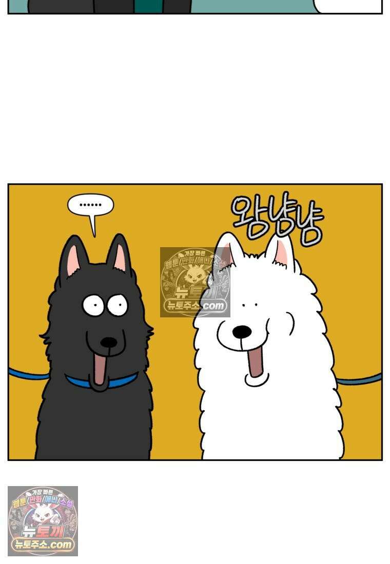 극한견주 시즌2 87화 개의 질투 20