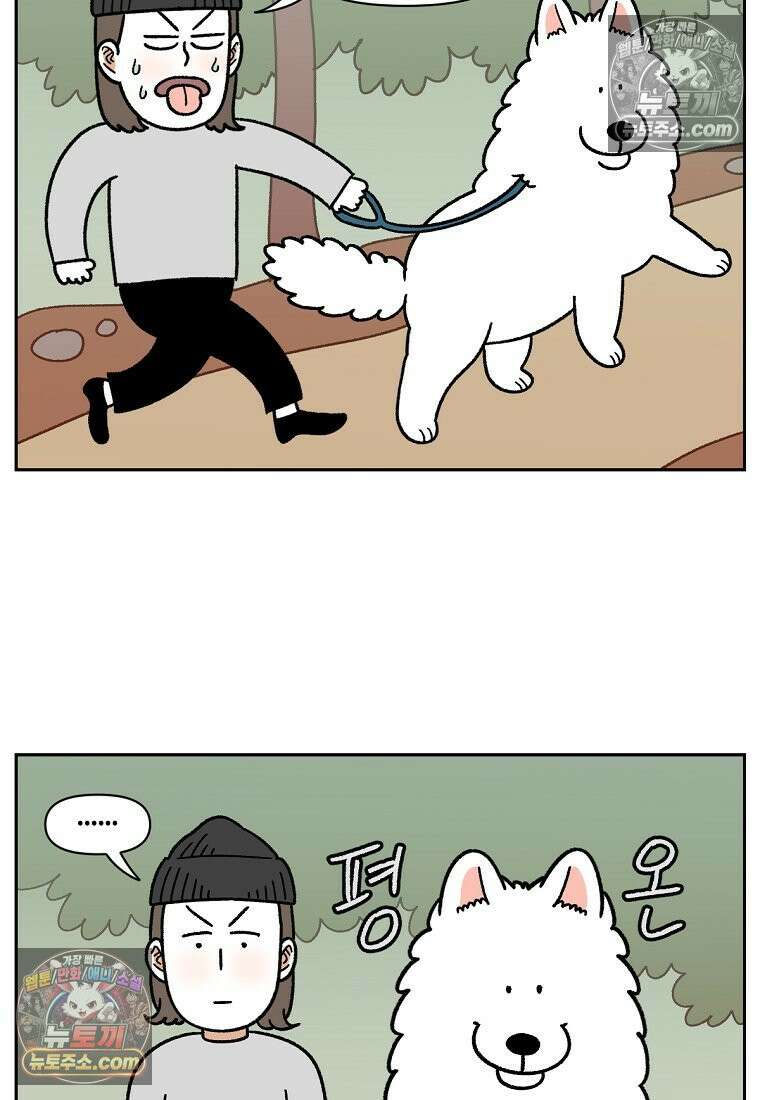 극한견주 시즌2 92화 등산 3