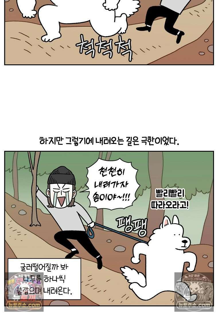 극한견주 시즌2 92화 등산 6