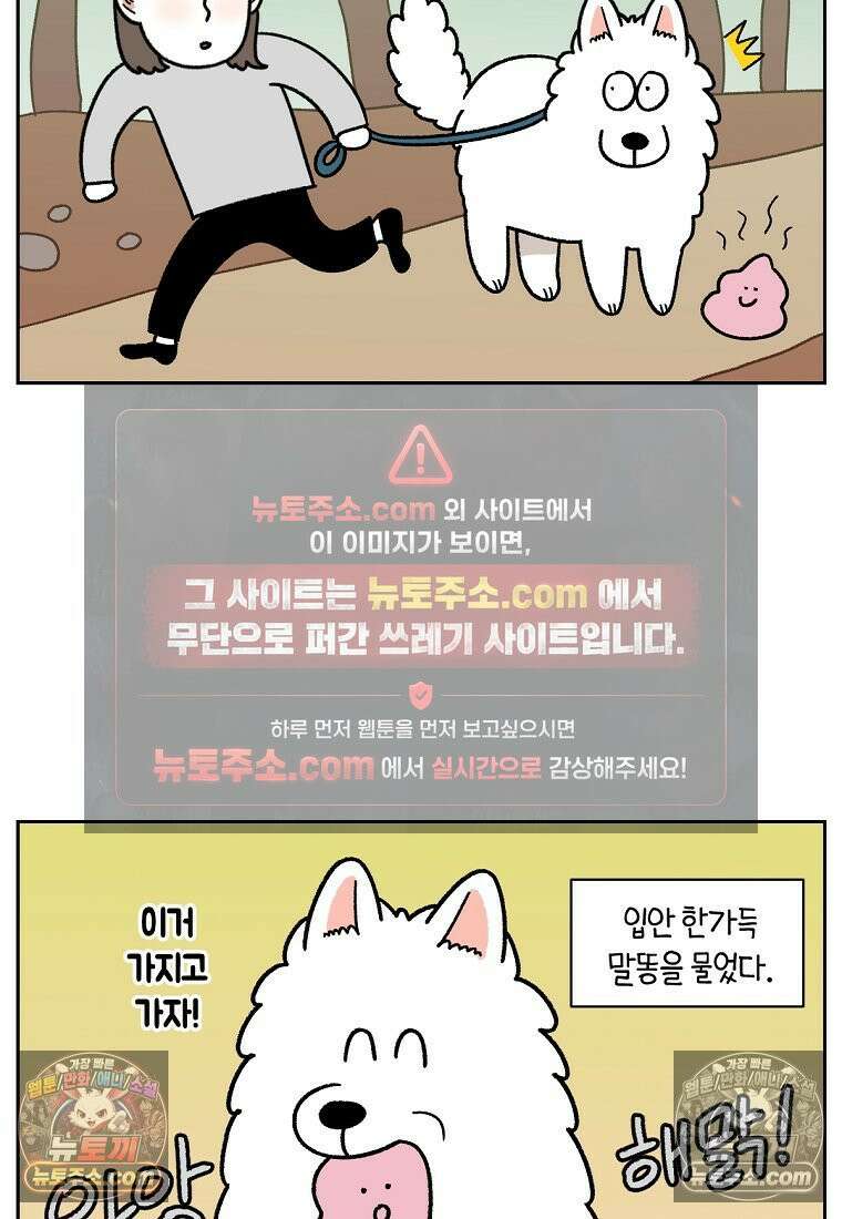 극한견주 시즌2 92화 등산 9