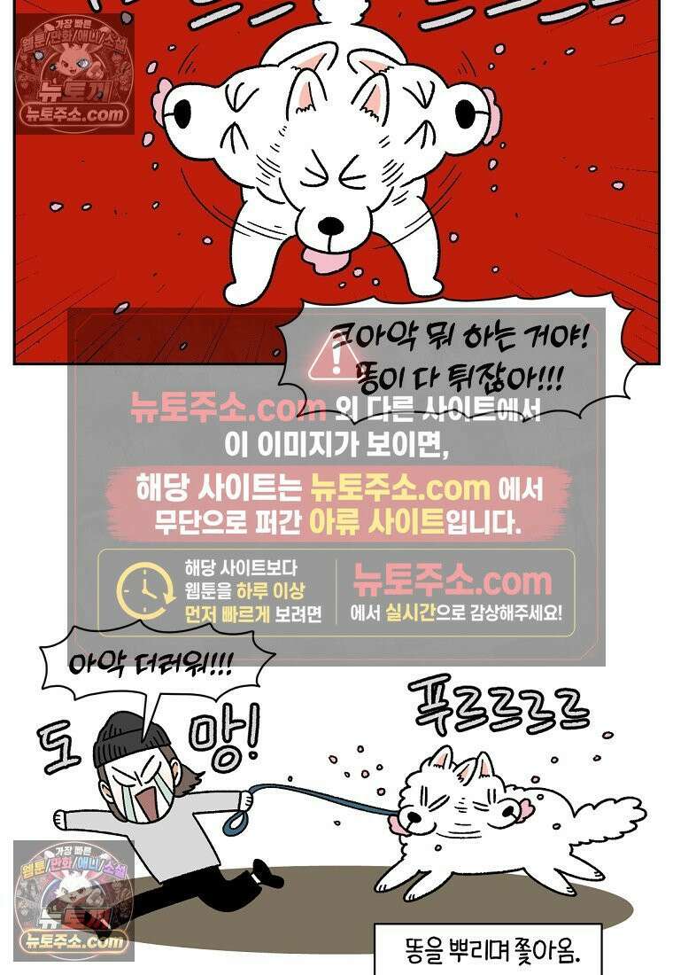 극한견주 시즌2 92화 등산 13